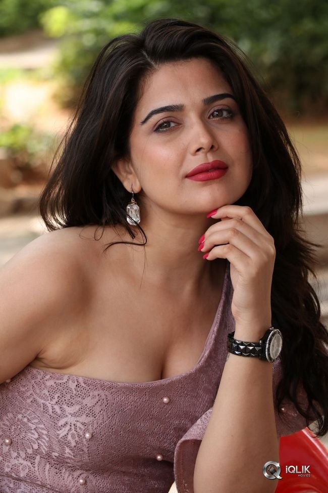 Ayesha-Singh-at-Yedu-Chepala-Katha-Movie-Prees-Meet